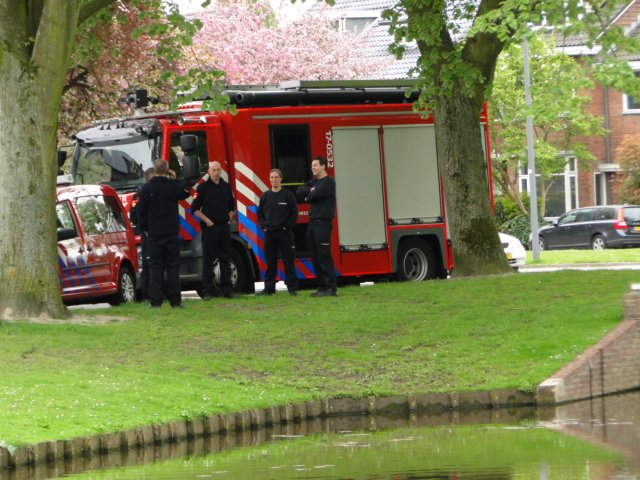 Koningsdag 2018 264.jpg